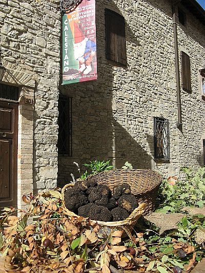 Fiera del tartufo di Fragno di Calestano - archivio Parma Turismi ph Samaritani