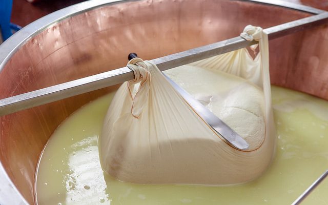 Produzione Parmigiano Reggiano