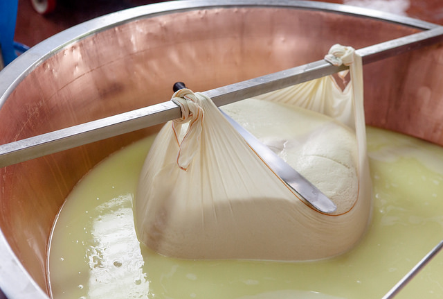 Produzione Parmigiano Reggiano