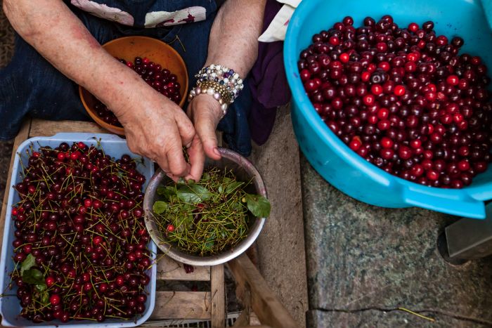 Amarene sciroppate la ricetta di Nonna Rosa